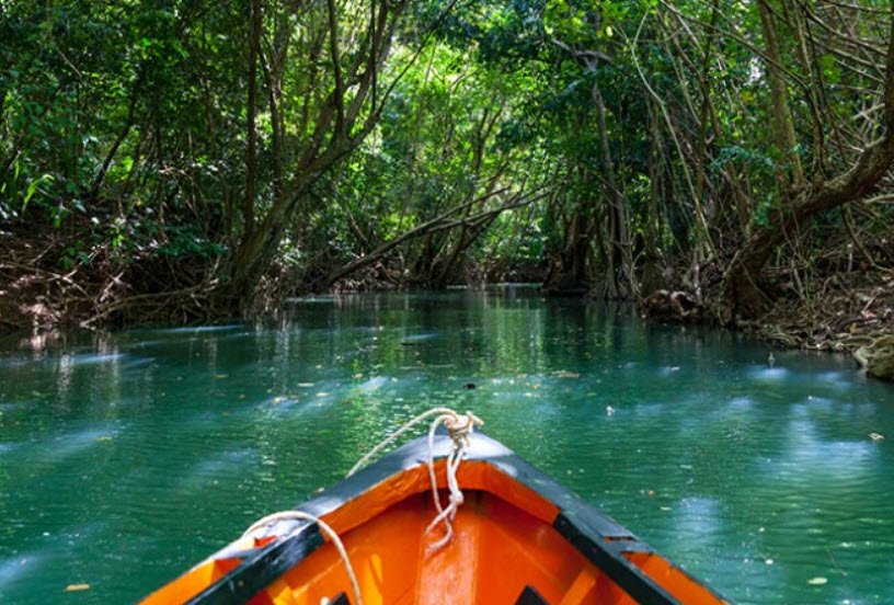 Indian River, Near Portsmouth, Dominica